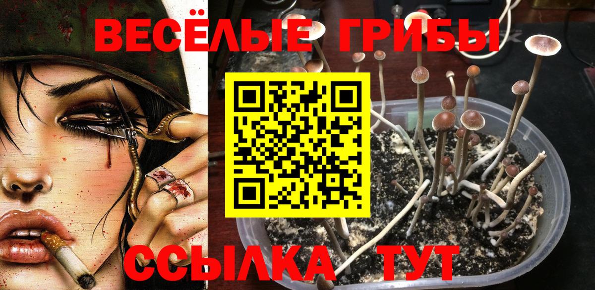 Петропавловск-Камчатский  Псилоцибиновые грибы мухоморы  Вход с VPN 